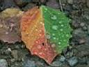 PICT0163.JPG