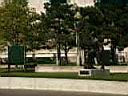 PICT0030.JPG