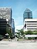 rue_Mcgill_college.jpg