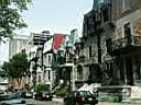 square_saint_louis_2.jpg