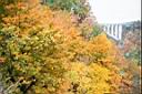 niagara-038.JPG