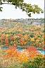 niagara-057.JPG